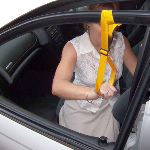 3 Car Access Strap Main Image