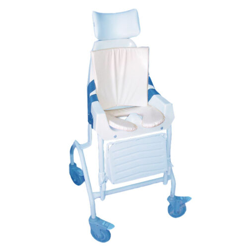 Childs Commode And Back Cushion